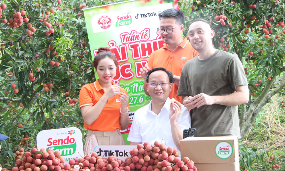 Bac Giang leader joins livestream to boost lychee sales